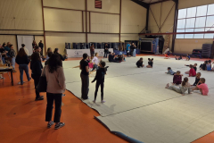 WhatsApp-Image-2026-03-22-at-20.06.56ff