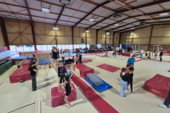 WhatsApp-Image-2026-03-22-at-20.06.57ffd