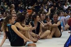 17273372_10210985883416793_693139073_o