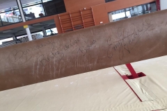 19146216_1332550923465438_8519507749459255464_n