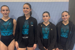 WhatsApp-Image-2025-02-09-a-18.50.53_d8b66c68