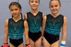 WhatsApp-Image-2025-02-09-a-18.50.59_f208c26e