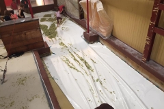 18814044_1333042573416273_1584089261197719359_n