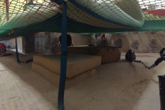 19146221_1333042796749584_4512464697206235416_n