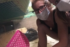 19225922_1333042723416258_6215824431880278423_n