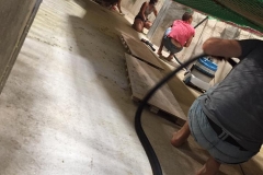 19274954_1333042756749588_1175007539662139864_n