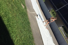 19275191_1333042696749594_3554671239846053935_n