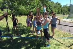 19397013_1333043620082835_7444626250841250324_n