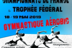 france aerobic