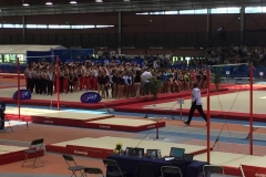 19125944_1983419731877907_1508646321_o