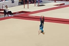 13231075_1028556100547457_269167840_n