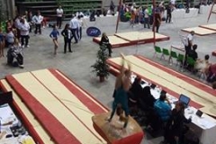 13235783_1028555720547495_1734469088_n