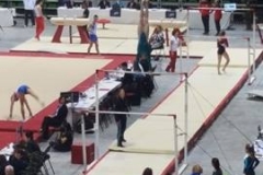 13236085_1028556053880795_1745760476_n