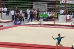 13245898_1028556113880789_1537026856_n