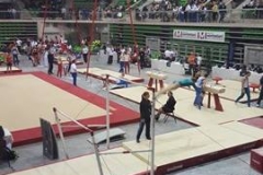 13246135_1028555670547500_468596347_n