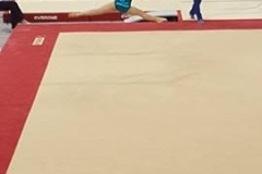 13249326_1028556013880799_610038433_n