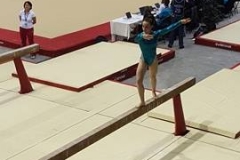 13249533_1028556417214092_2145321543_n