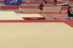 13249548_1028556020547465_1864598499_n