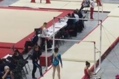 13249598_1028556077214126_1814976611_n