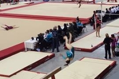 13249618_1028556317214102_1420698782_n