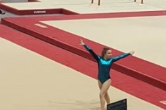 13250349_1028556010547466_1013825651_n