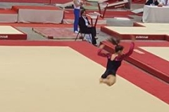 13250393_1028556033880797_1936082477_n