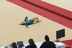 13250499_1028556007214133_899838347_n