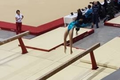 13250567_1028556333880767_792691017_n