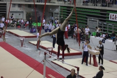 Elisa barres (13)