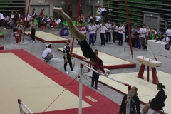 Elisa barres (22)
