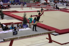 Elisa poutre (13)
