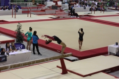 Elisa poutre (14)