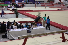 Elisa poutre (8)