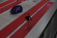 Elisa saut (3)
