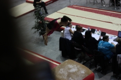 Elisa saut (5)