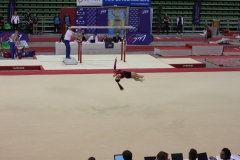 Elisa sol (17)