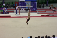 Elisa sol (18)