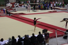 Elisa sol (7)