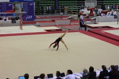 Elisa sol (8)