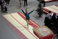 Ella saut (1)