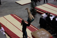 Ella saut