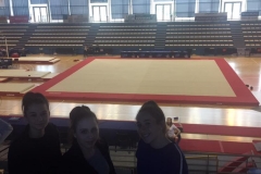 18221875_1294089027311628_4850516817099926133_n