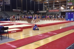 18275245_1295742883812909_5427767569115338323_n