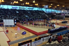 18275252_1295345027186028_5360087901706500196_n