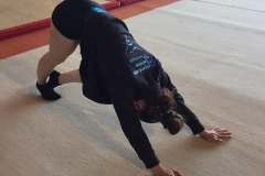 18301779_1295344963852701_4762332639155152845_n