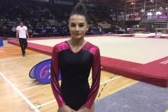 18342754_1295742847146246_8822693392852774714_n