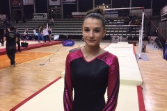 18402907_1295742930479571_6560518062036460427_n