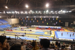 DSCN0791