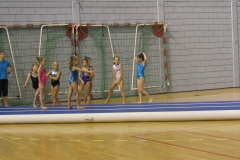 noir (389)