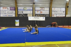 noir (407)